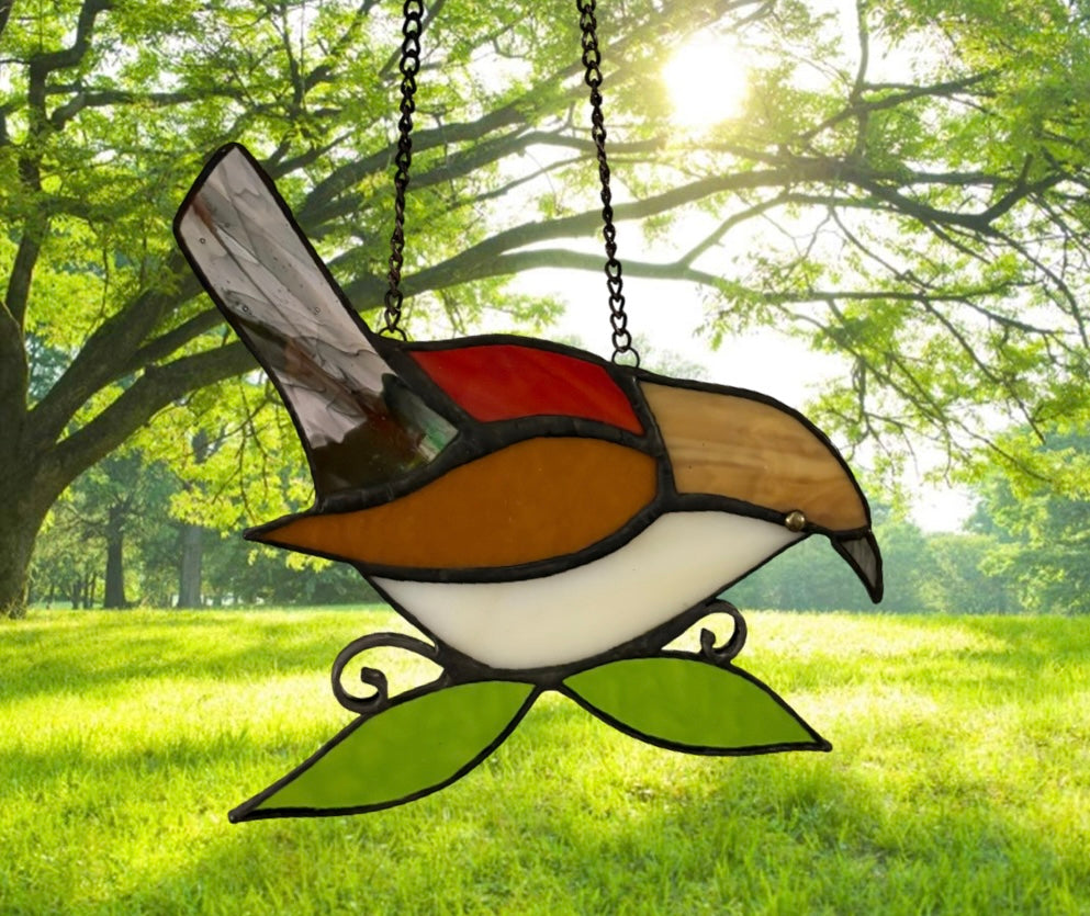 Always Sing - Carolina Wren