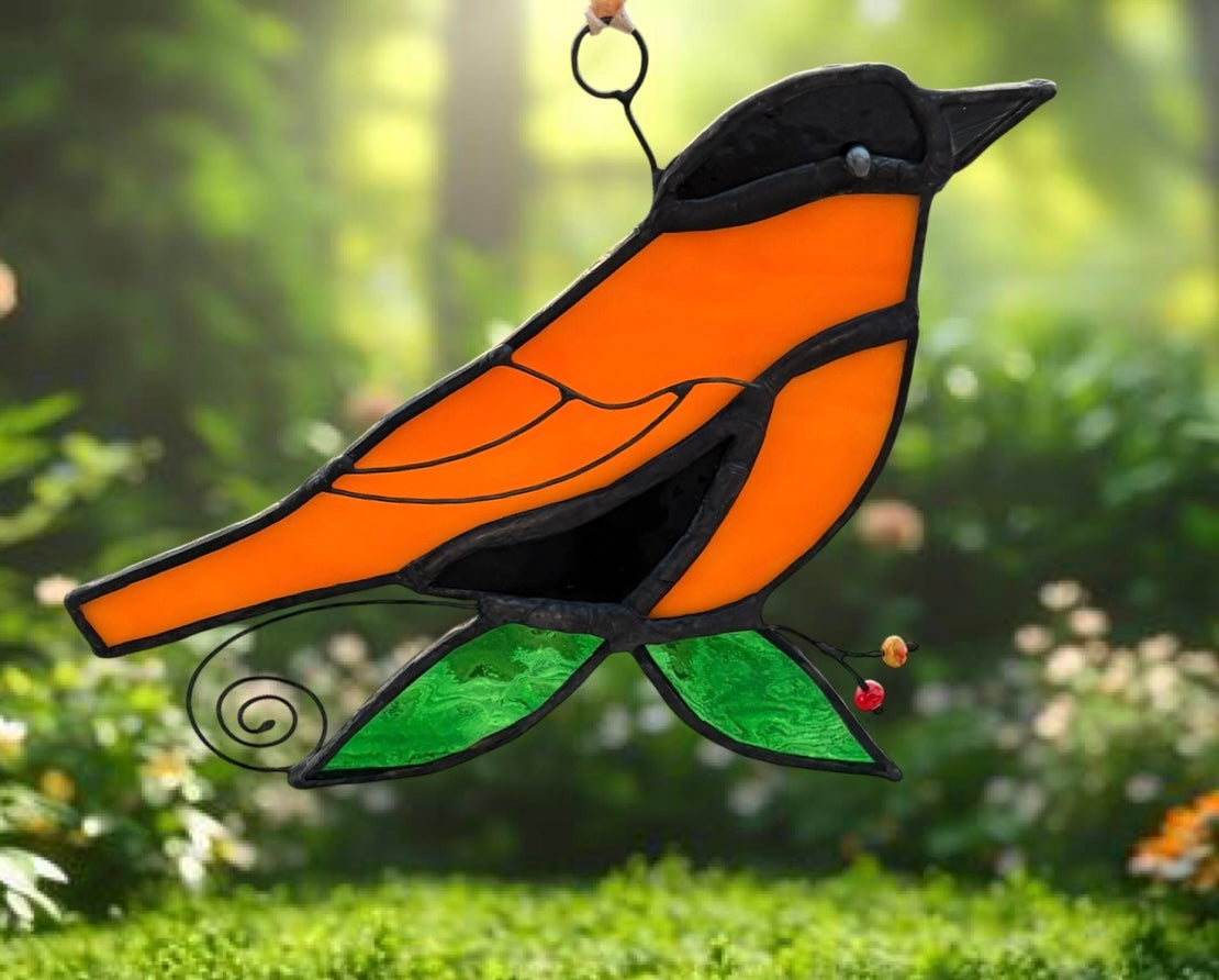 Bold & Beautiful - Baltimore Oriole