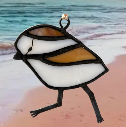 Plover Lover - Piping Plover Chick