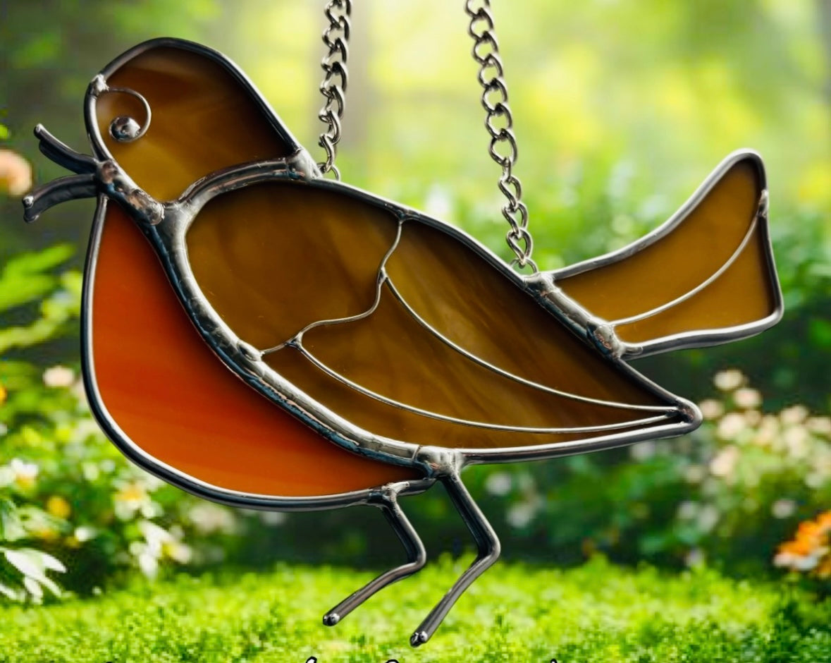 Early Bird - Robin