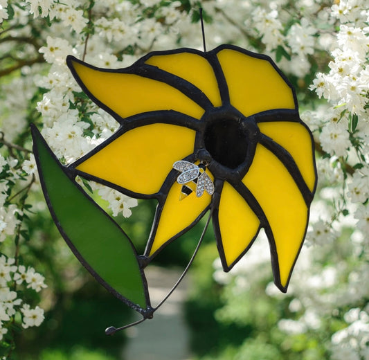 Little Suzie - Black Eyed Susan Flower