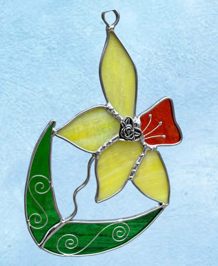 Daffodil - The Trumpet of Spring
