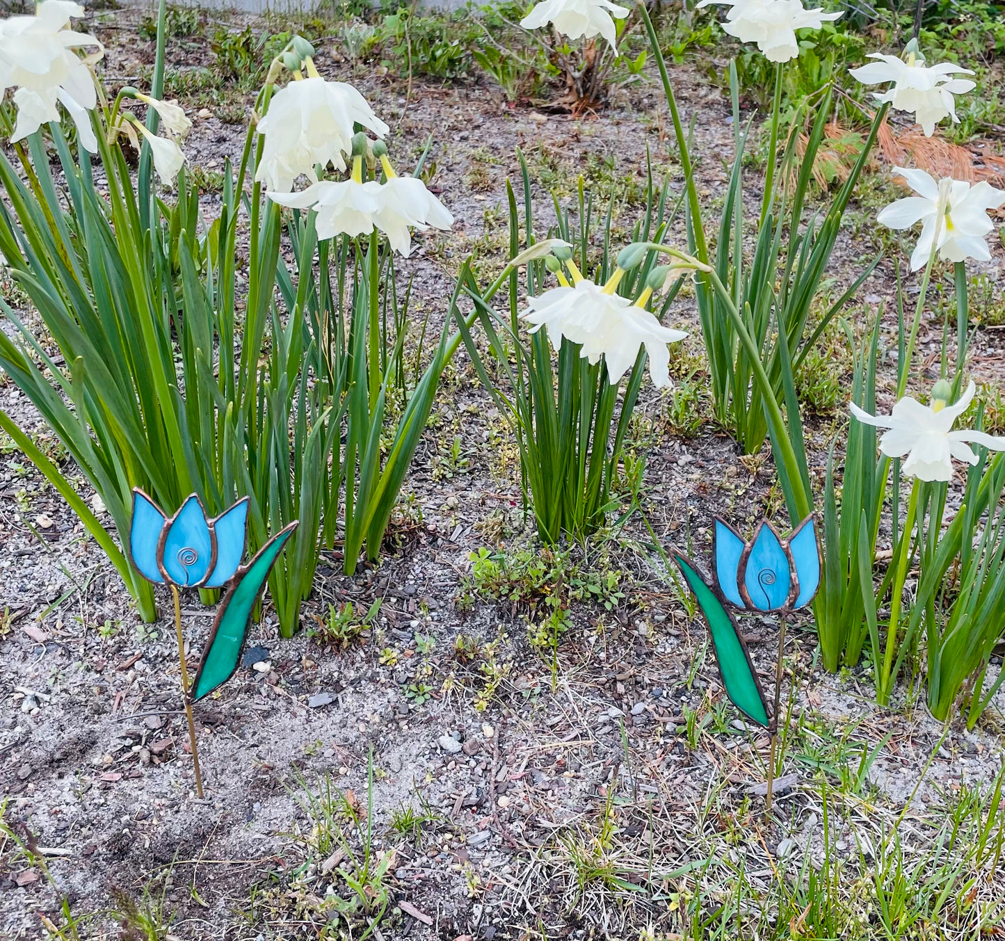 Kiss from the Garden - Tulip Plant Stake