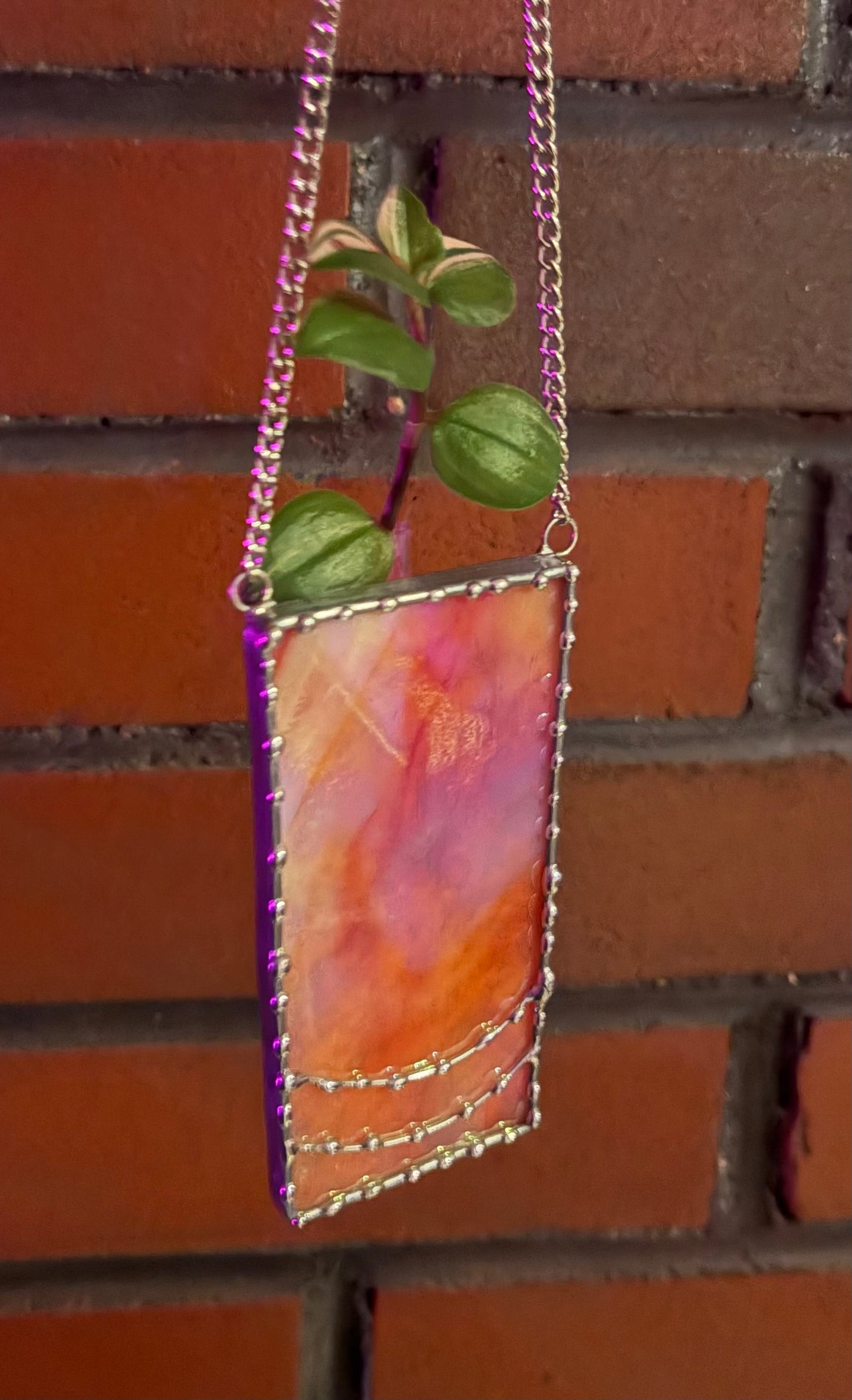 Plant Propagation Design