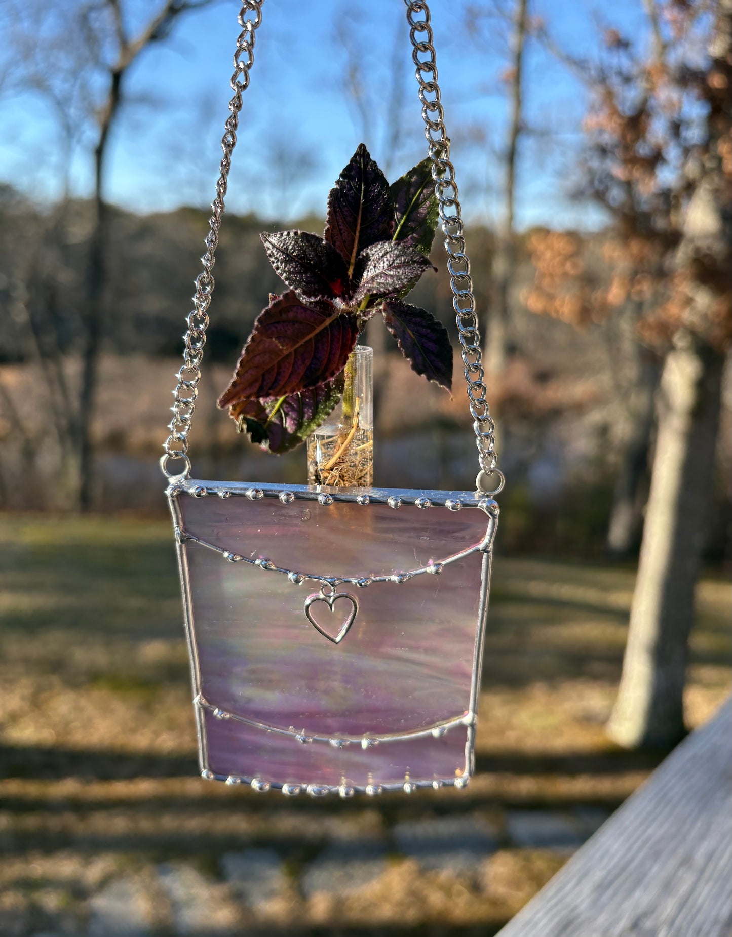 Plant Propagation Design