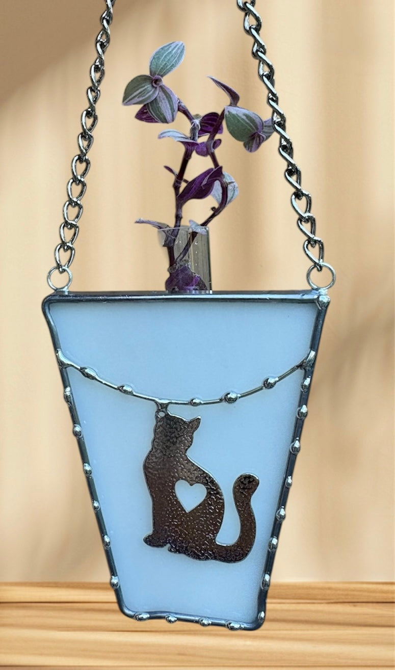 Plant Propagation - Cat Charm