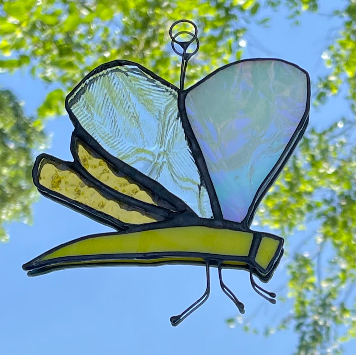 Anything is Possible - Dragonfly