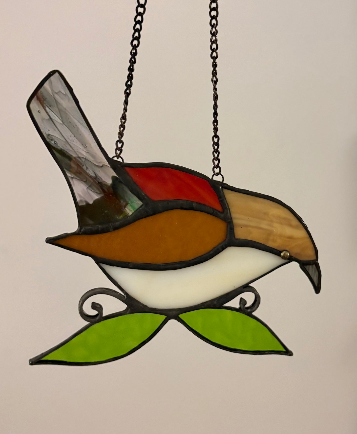 Always Sing - Carolina Wren