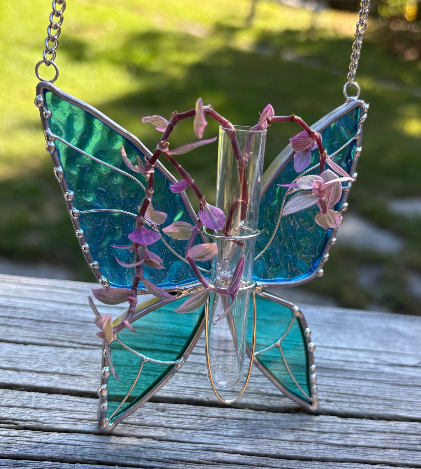 Butterfly Heaven Plant Propagation
