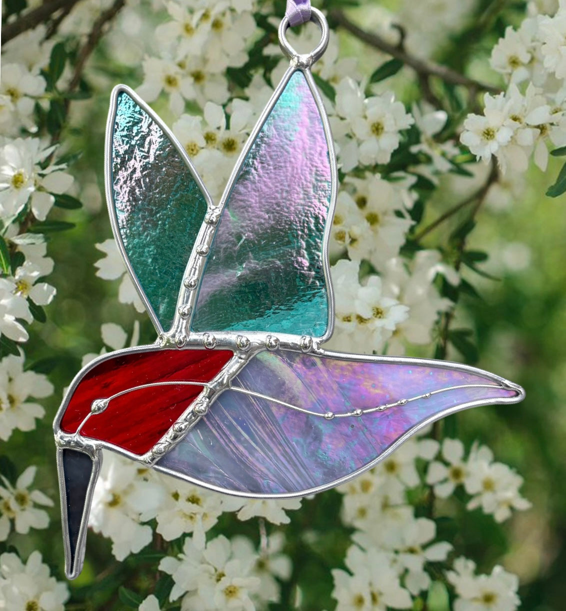 Anna's Hummingbird