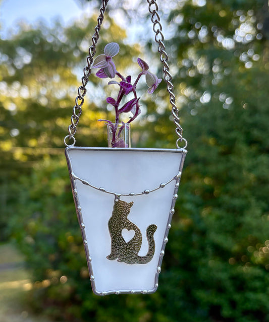 Plant Propagation - Cat Charm