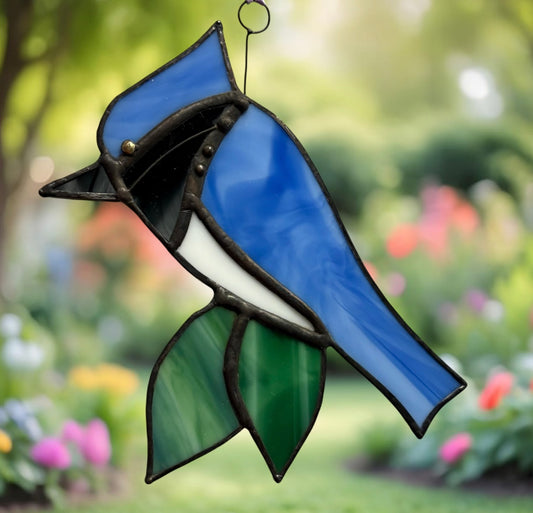 True Blue - Blue Jay