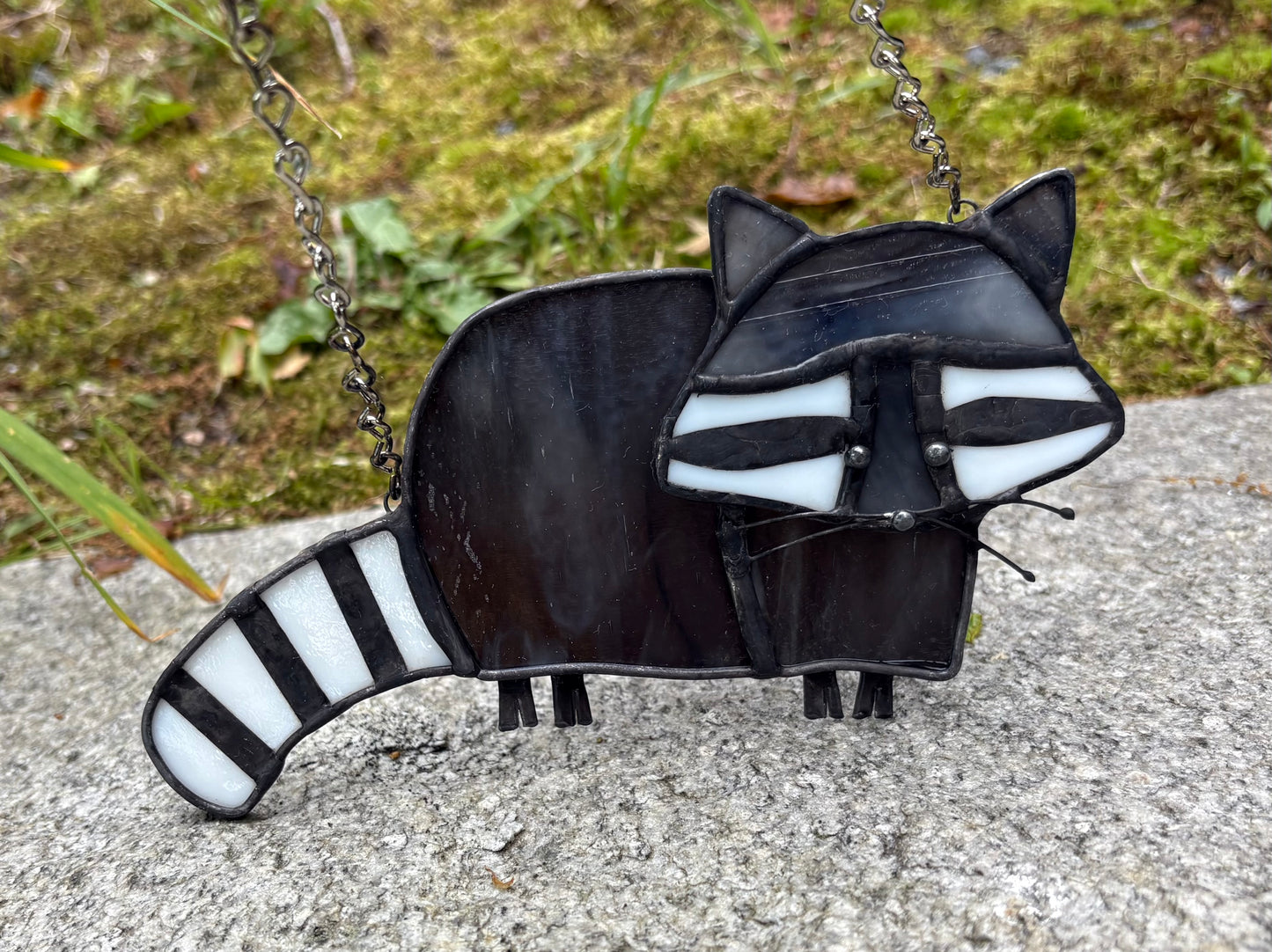 Ready for Adventure- Raccoon