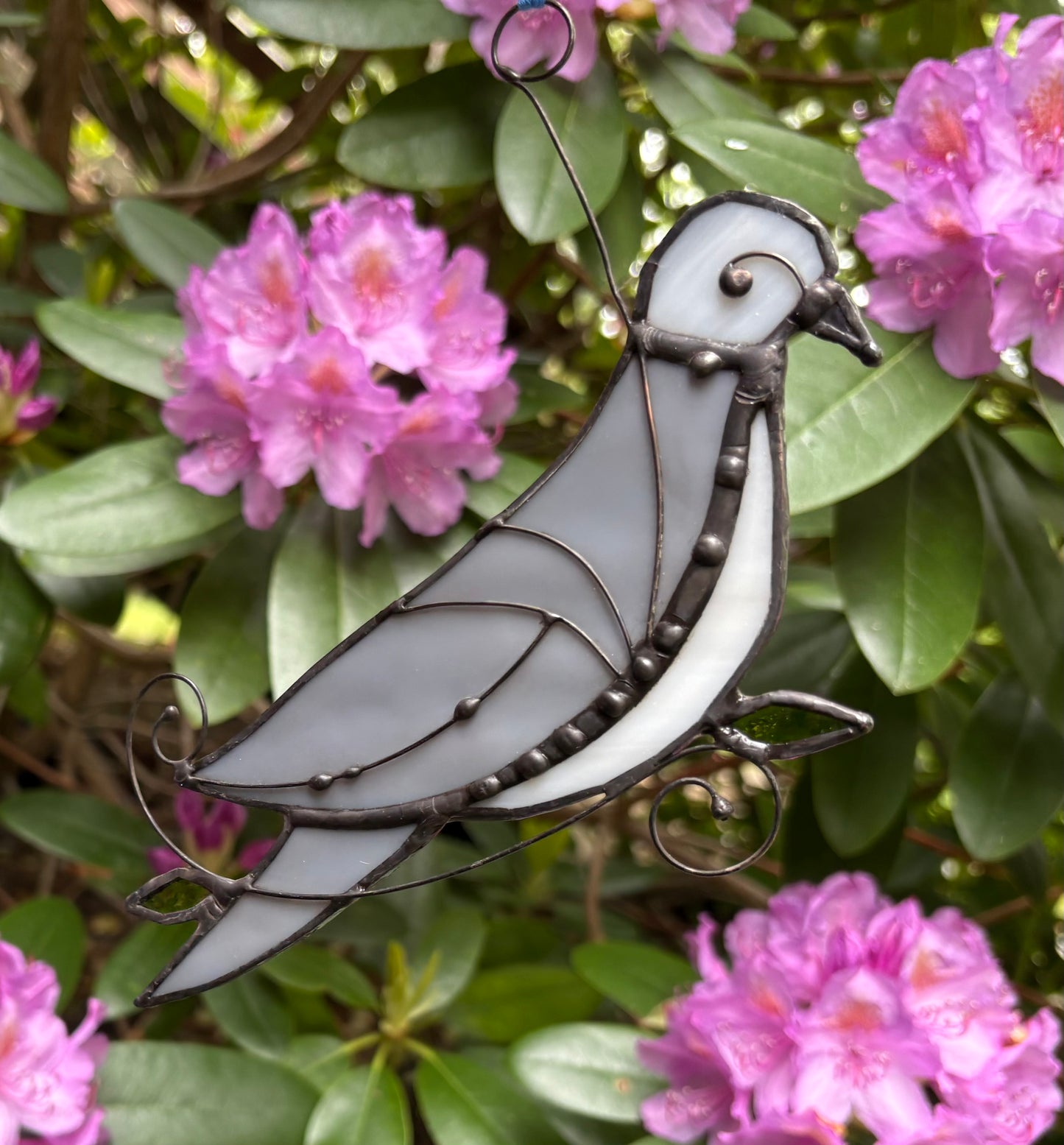 Mourning Dove Love