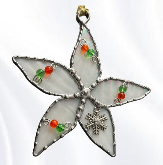 The Christmas Starfish