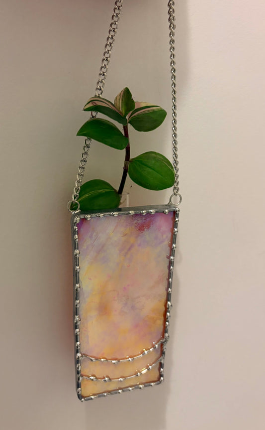 Plant Propagation Design