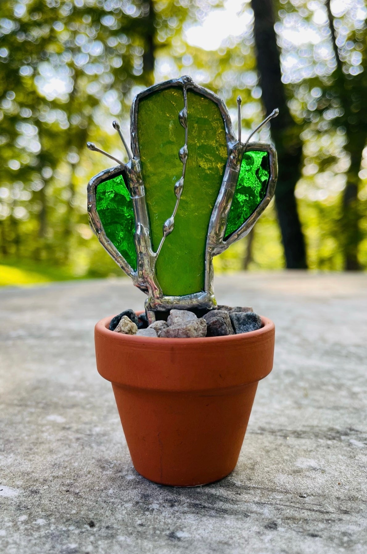 Can't Touch This - Cactus in Terracotta Mini Pot