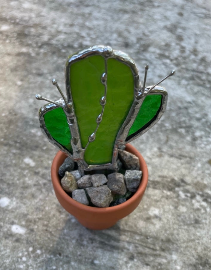 Can't Touch This - Cactus in Terracotta Mini Pot