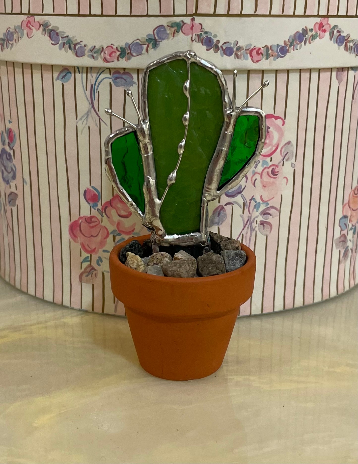 Can't Touch This - Cactus in Terracotta Mini Pot