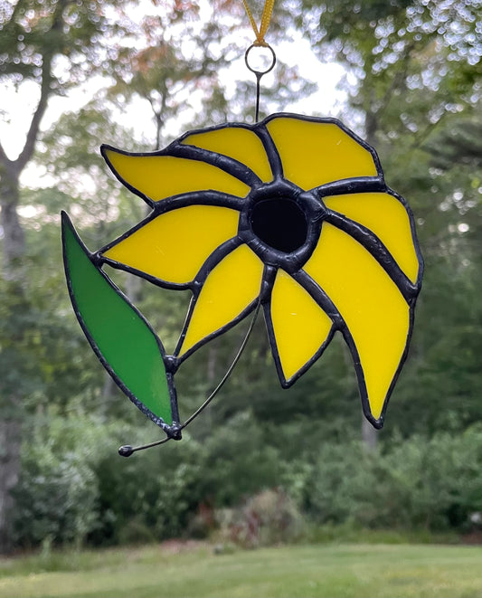 Little Suzie - Black Eyed Susan Flower