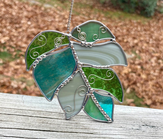 Botany Plants Lately? - Monstera