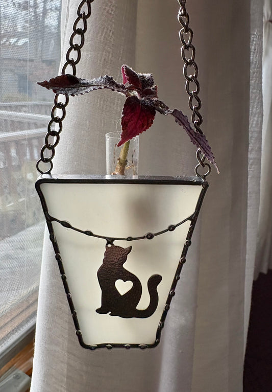 Plant Propagation Design -Cat Charm