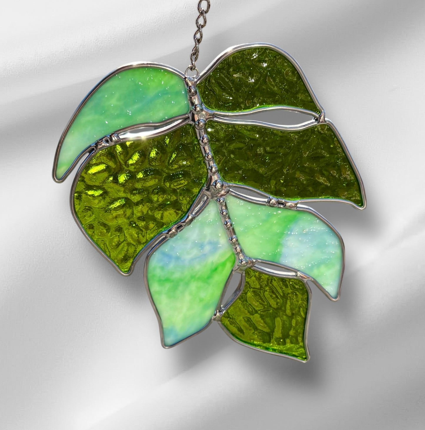 Botany Plants Lately? - Monstera Leaf (Propogation)