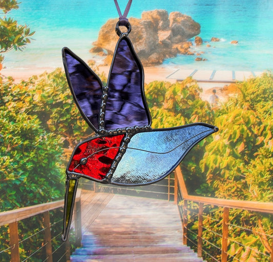 Anna's Hummingbird