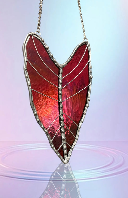 Alocasia - My SoilMate