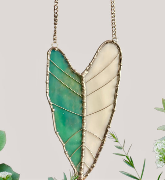 Alocasia - My SoilMate