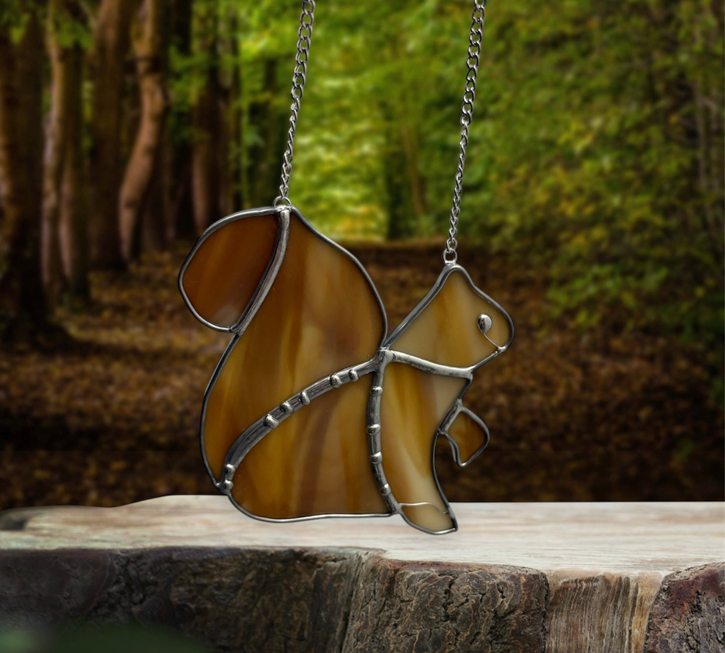 Eastern Gray Squirrel