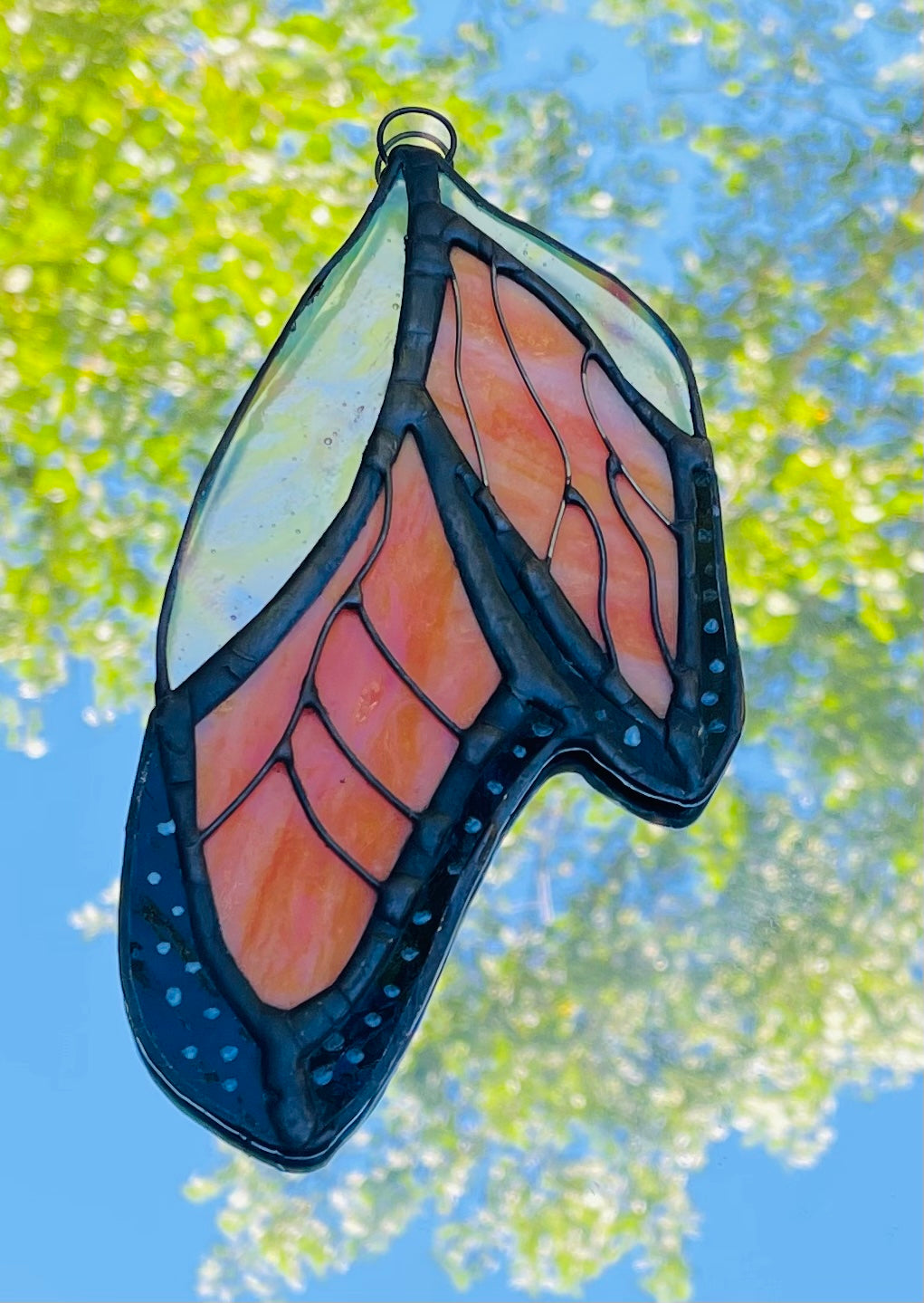 Emergence - Monarch Butterfly Chrysalis